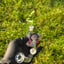 Small image 8