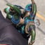 Small image 7