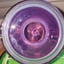 Small image 6