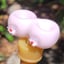 Small image 6