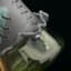 Small image 8