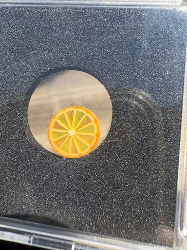 Preview pic of Lyons coin