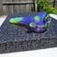 Small image 6