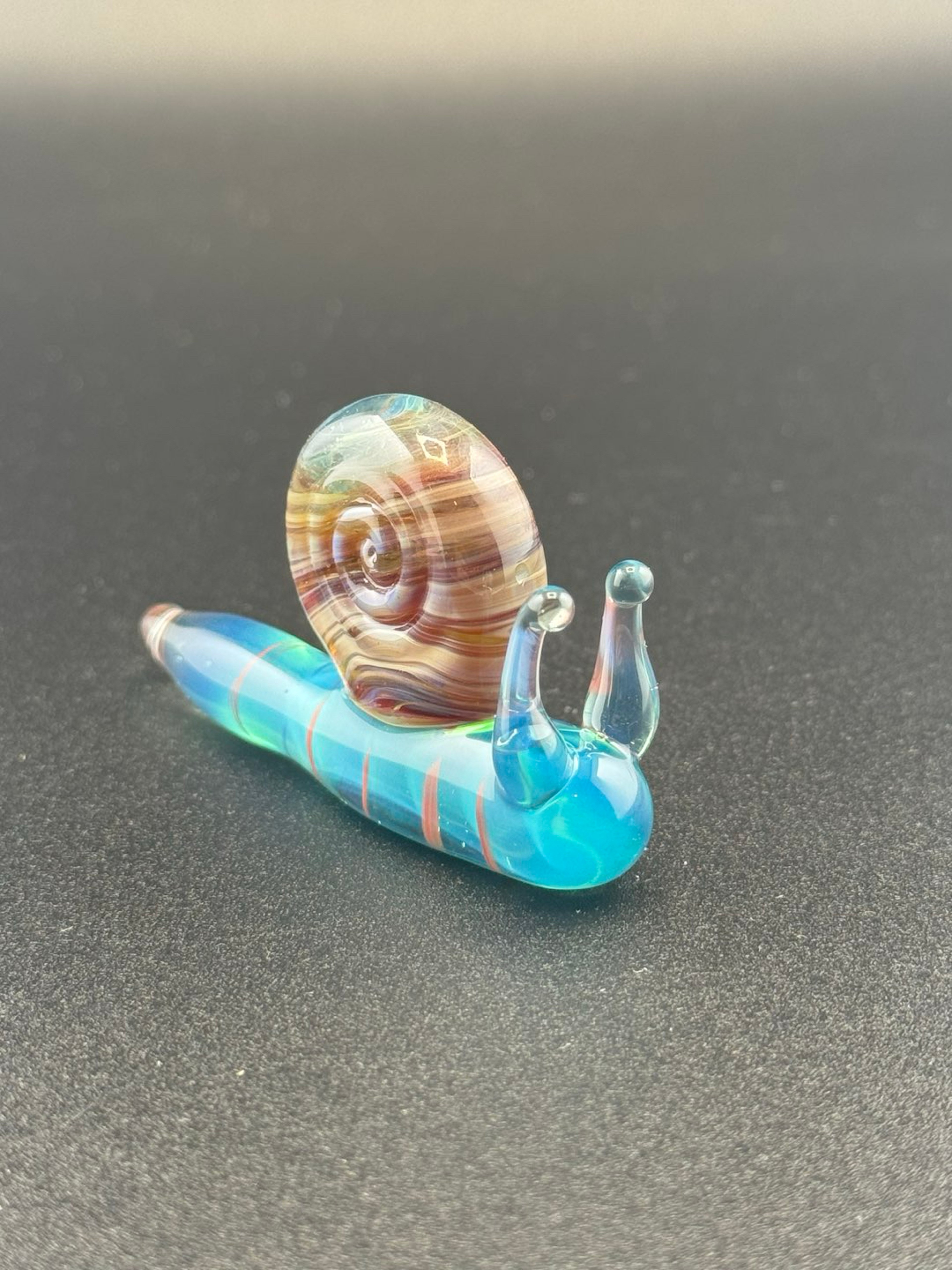Preview pic of Glass snail