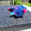 Small image 4