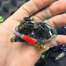 Small image 6