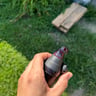 Small image 2
