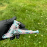 Small image 0