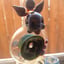 Small image 6