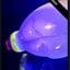 Small image 7