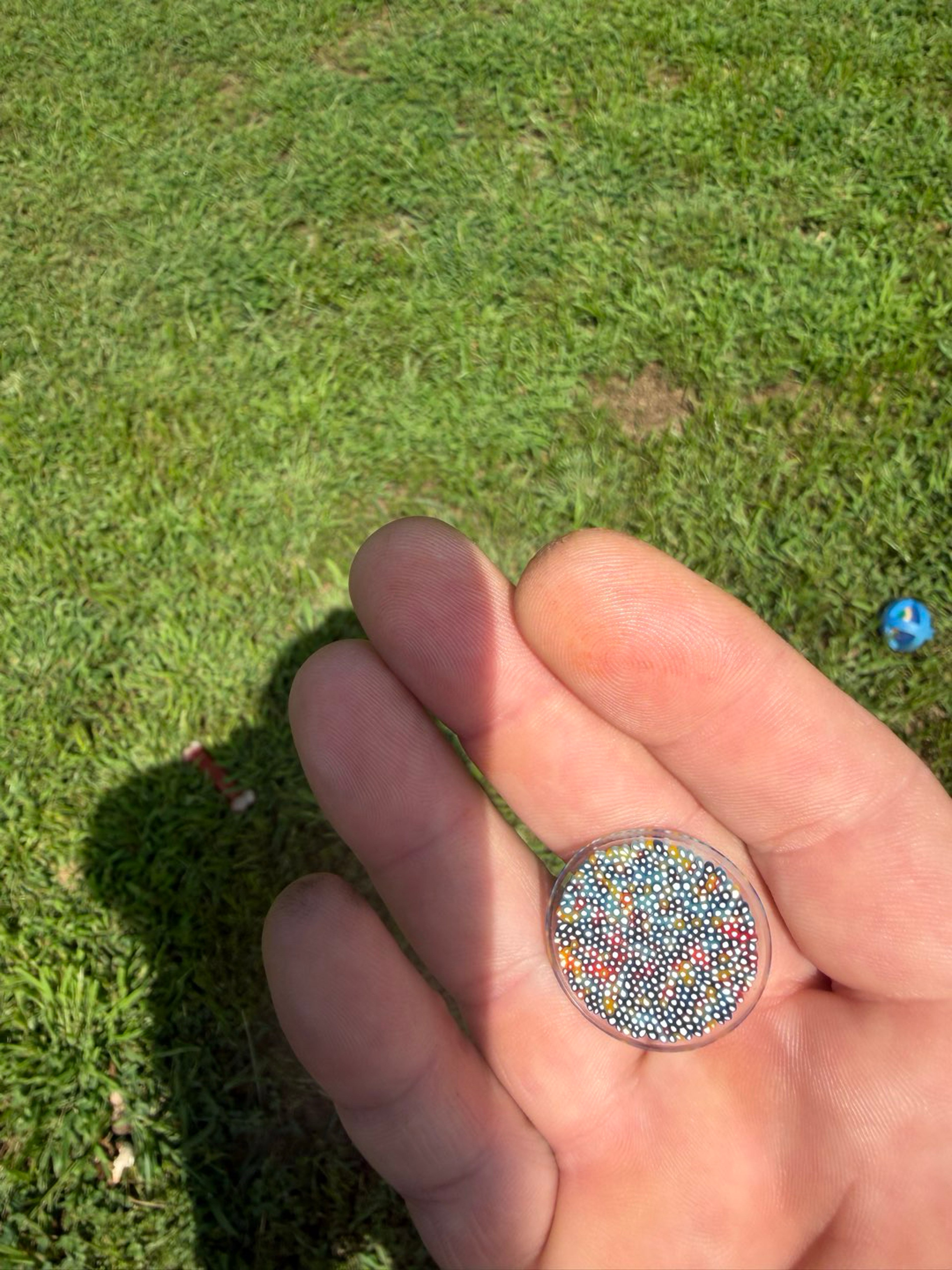 Preview pic of Dosa Rainbow Millie Coin