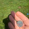 Small image 0