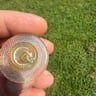 Small image 2