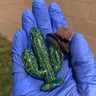 Small image 1