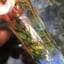 Small image 6