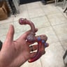 Small image 0