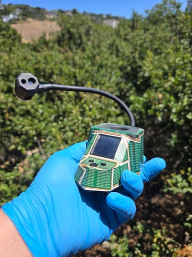 Preview pic of V2 Dabrite