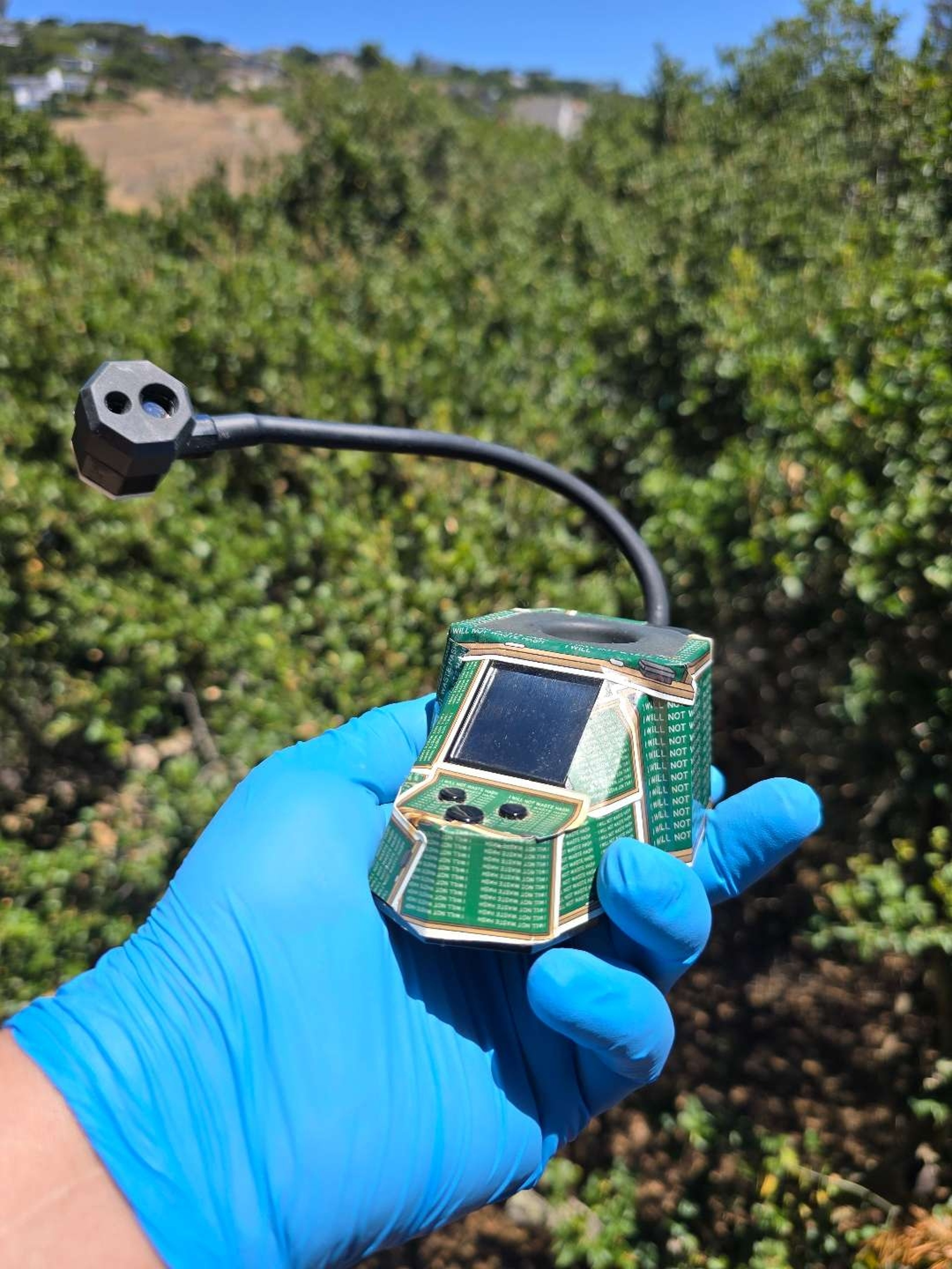 V2 Dabrite image 0