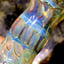 Small image 6