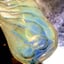Small image 8