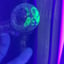 Small image 6