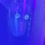 Small image 7