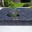Small image 6