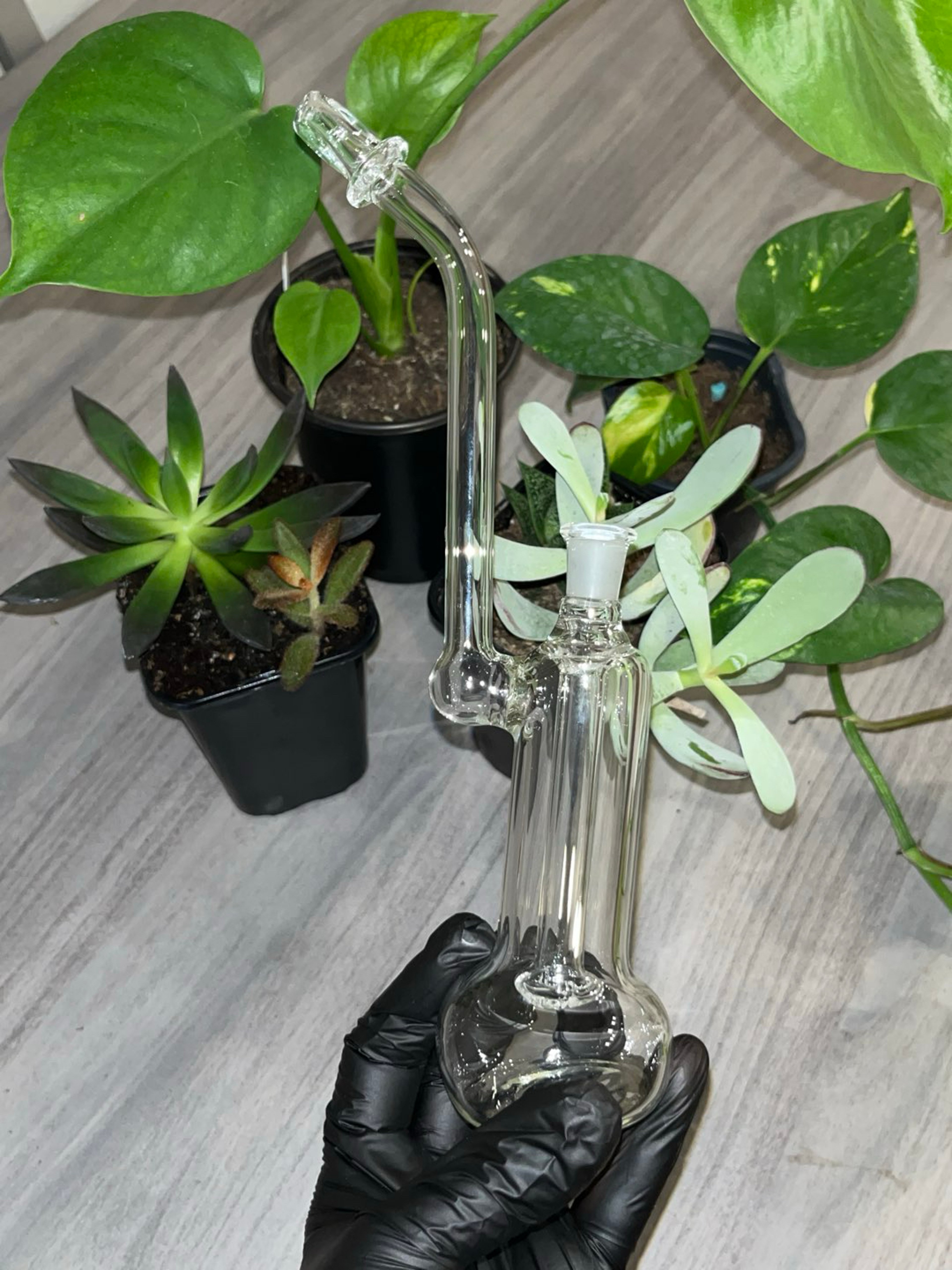 10” clear bubbler image 0