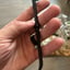 Small image 6