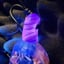 Small image 6