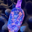 Small image 7