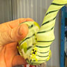 Small image 2