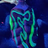 Small image 6