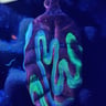 Small image 5
