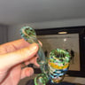 Small image 1