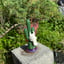 Small image 6