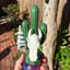 Small image 3