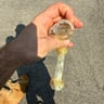 Small image 5