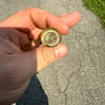 Small image 1