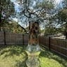 Small image 4