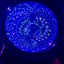 Small image 7