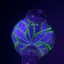 Small image 8