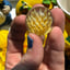 Small image 5