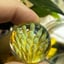 Small image 6