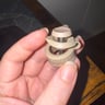 Small image 0