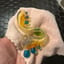 Small image 5
