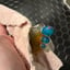 Small image 6