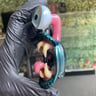 Small image 1