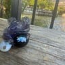 Small image 1