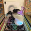 Small image 1